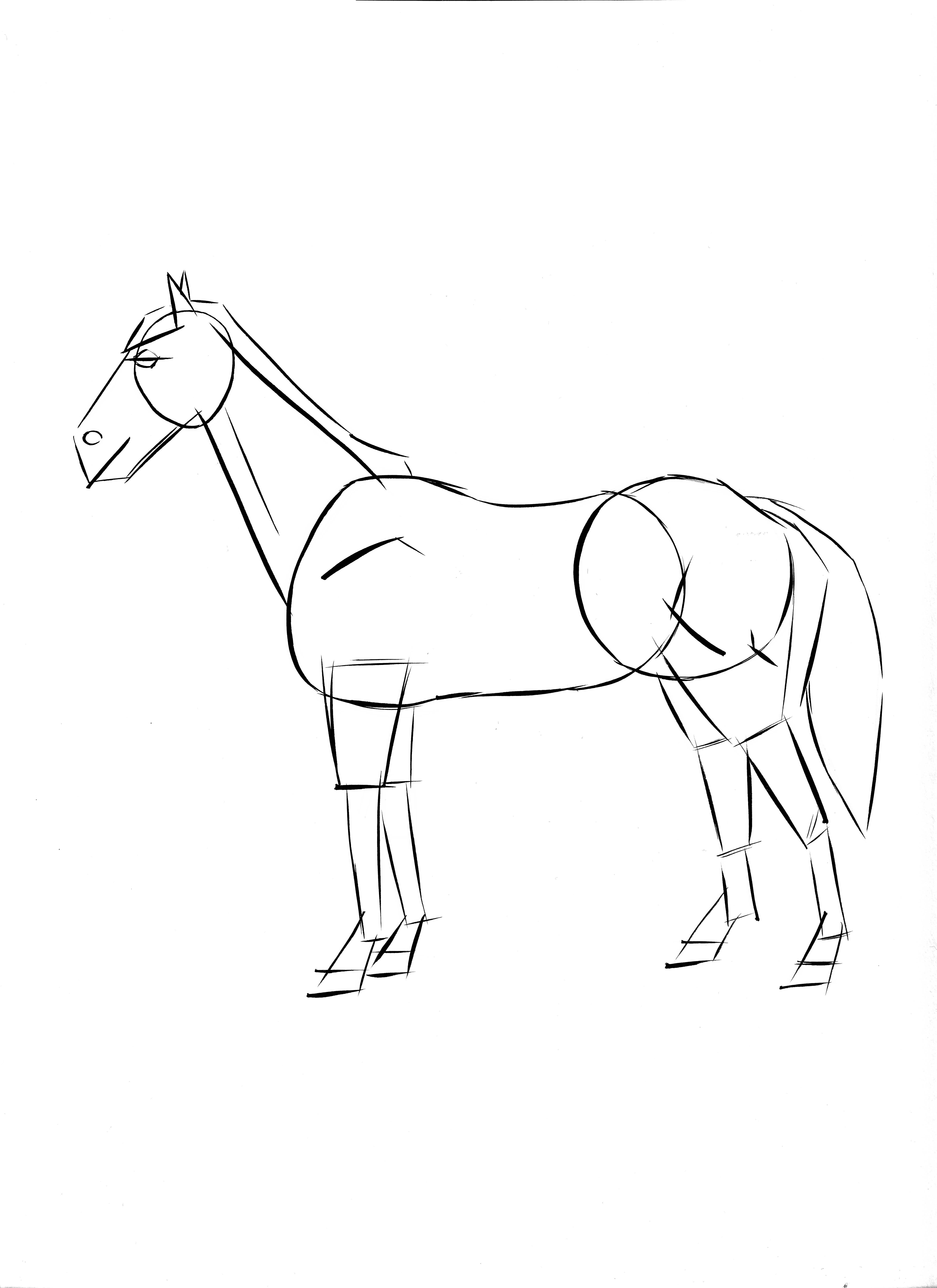 Actividades infantiles: dibujar un caballo | Canson