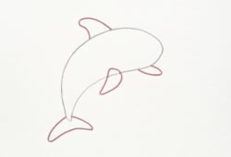 Dibujar un delfín juguetón | Canson