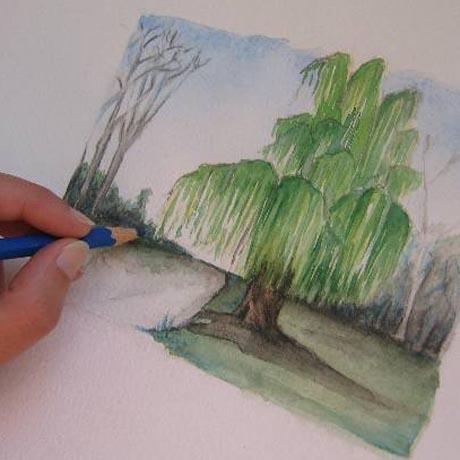 Acuarela : Pintar los árboles | Canson