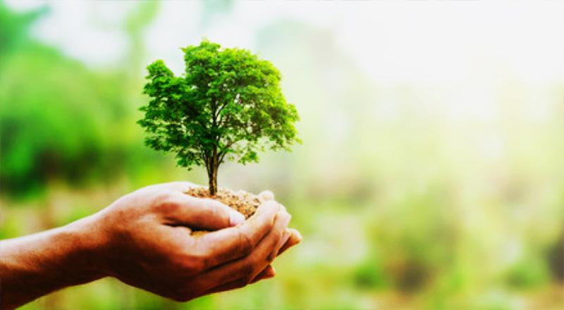 La conservación de la salud y la protección del medio ambiente | Canson La conservación de la salud y la protección del medio ambiente | Canson