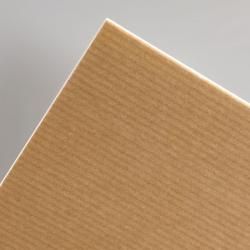 Caja 40 cartón pluma canson 70x100 cm- 3 mm C205154407